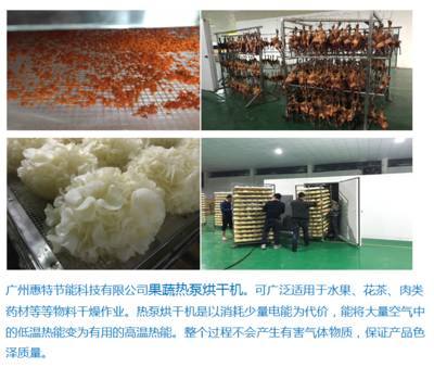 廣州惠特高科農(nóng)產(chǎn)品類 果蔬熱泵烘干機(jī)